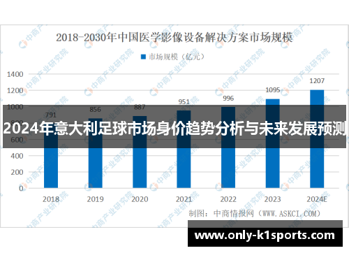 2024年意大利足球市场身价趋势分析与未来发展预测