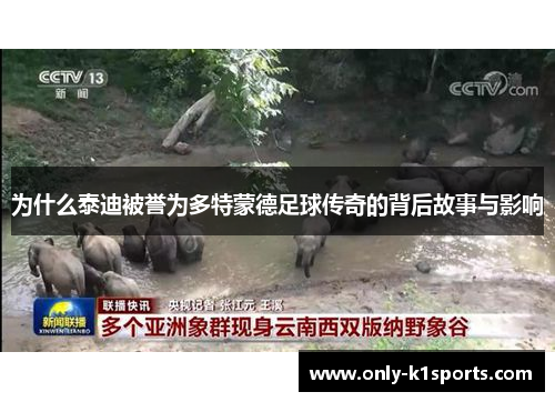 为什么泰迪被誉为多特蒙德足球传奇的背后故事与影响