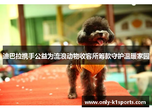 迪巴拉携手公益为流浪动物收容所筹款守护温暖家园 迪巴拉携手公益为流浪动物收容所筹款守护温暖家园