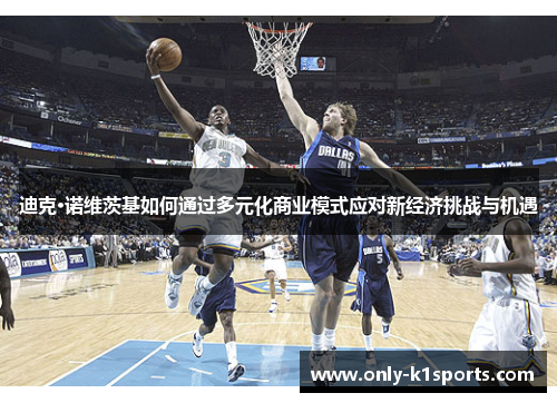 迪克·诺维茨基如何通过多元化商业模式应对新经济挑战与机遇 迪克·诺维茨基如何通过多元化商业模式应对新经济挑战与机遇